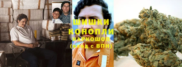 2c-b Богородск