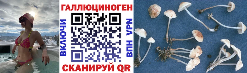 как найти закладки  Палласовка  Галлюциногенные грибы мицелий 