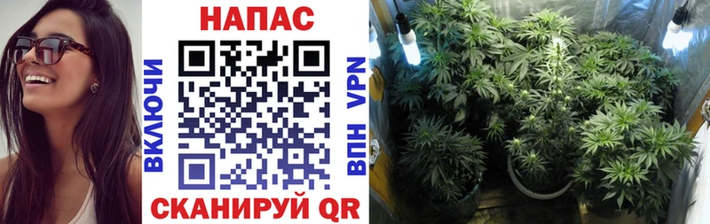 Бошки марихуана THC 21% Палласовка